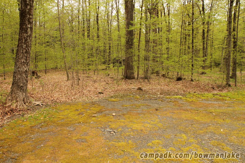 Campsite Photo of Site 105 at Bowman Lake State Park, New York - Cross Site View