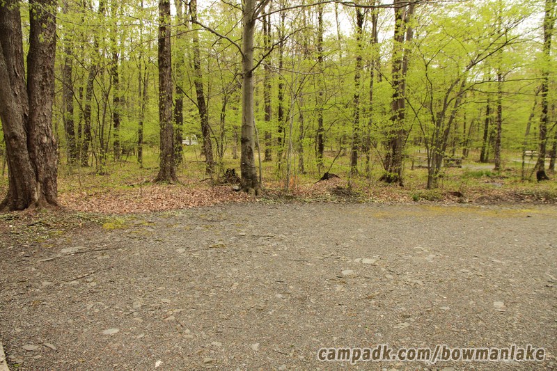 Campsite Photo of Site 93 at Bowman Lake State Park, New York - Cross Site View