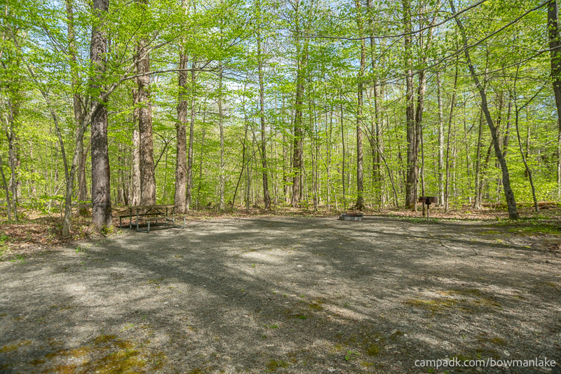 Campsite Photo of Site 93 at Bowman Lake State Park, New York - Looking at Site from Part Way In