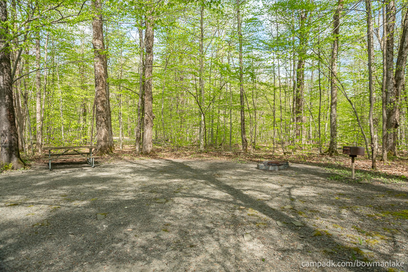 Campsite Photo of Site 93 at Bowman Lake State Park, New York - Cross Site View