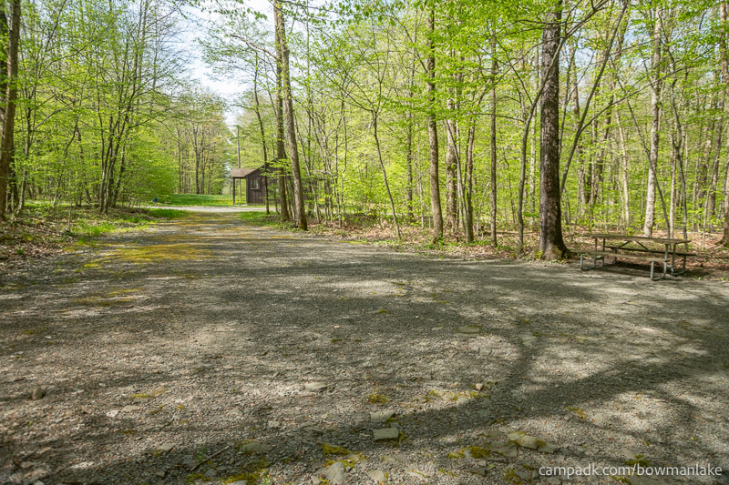 Campsite Photo of Site 93 at Bowman Lake State Park, New York - Looking Back Towards Road