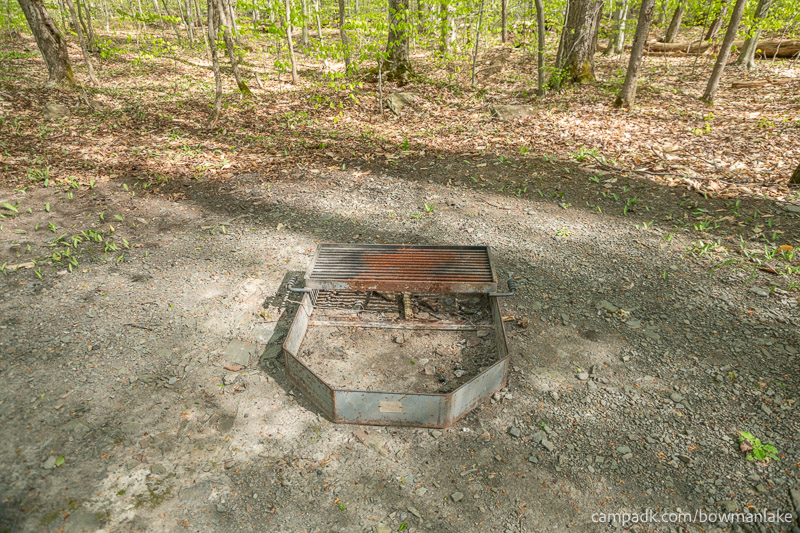 Campsite Photo of Site 93 at Bowman Lake State Park, New York - Fireplace View