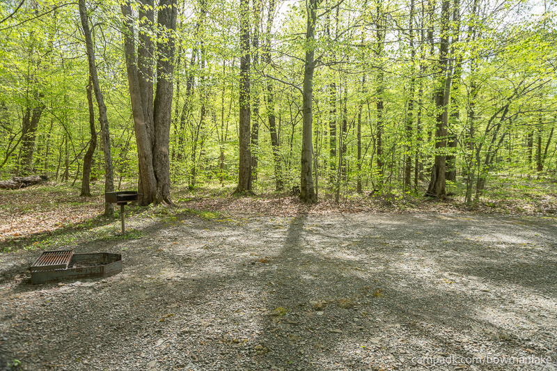 Campsite Photo of Site 93 at Bowman Lake State Park, New York - Cross Site View