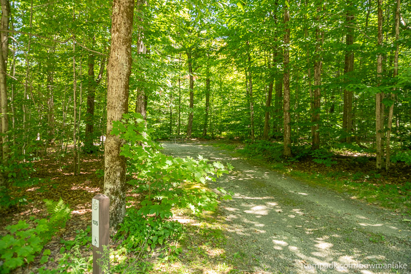 Campsite Photo of Site 105 at Bowman Lake State Park, New York - Looking at Site from Road Sign Visible