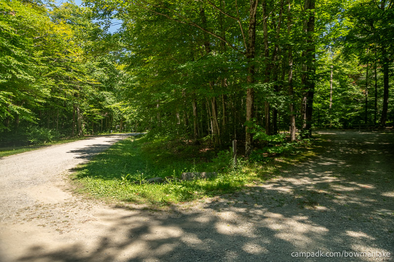 Campsite Photo of Site 105 at Bowman Lake State Park, New York - View Down Road from Campsite