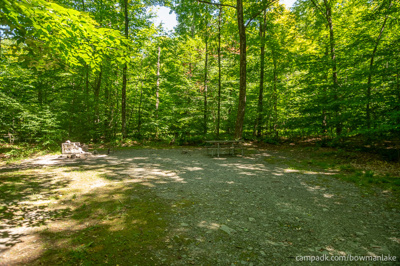 Campsite Photo of Site 105 at Bowman Lake State Park, New York - Looking at Site from Part Way In