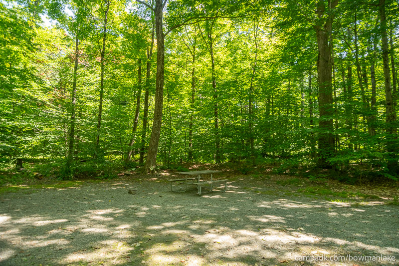 Campsite Photo of Site 105 at Bowman Lake State Park, New York - Cross Site View