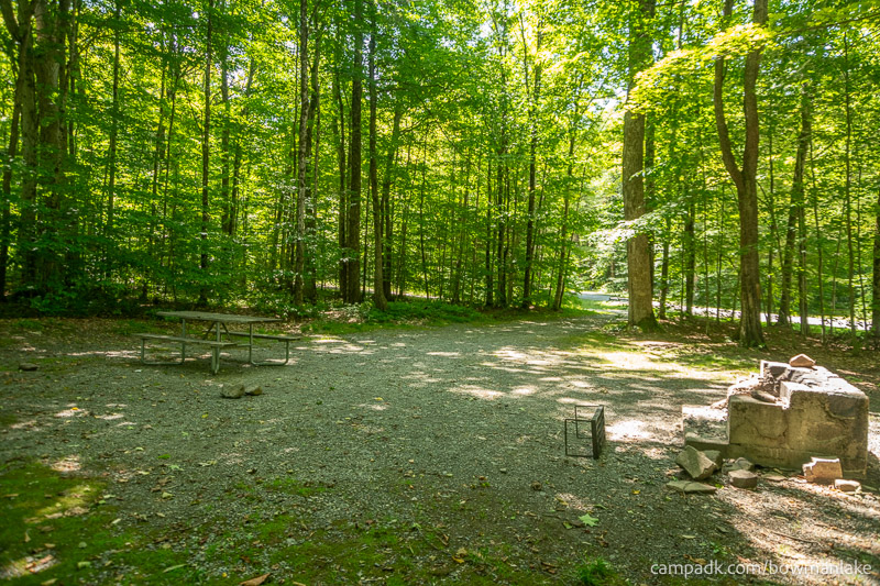 Campsite Photo of Site 105 at Bowman Lake State Park, New York - Looking Back Towards Road