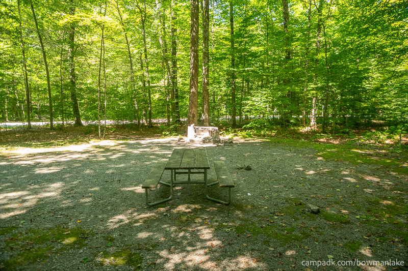 Campsite Photo of Site 105 at Bowman Lake State Park, New York - Cross Site View