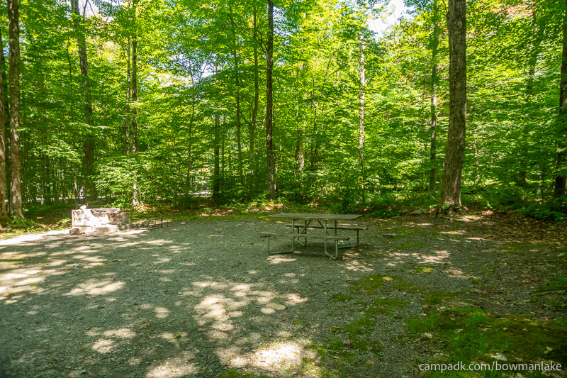 Campsite Photo of Site 105 at Bowman Lake State Park, New York - Cross Site View