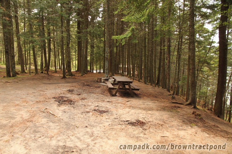 Campsite Photo of Site 12 at Brown Tract Pond Campground, New York - Cross Site View