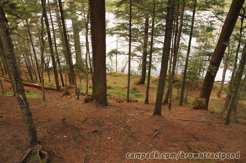 Campsite Photo of Site 12 at Brown Tract Pond Campground, New York - Pathway Down to Water
