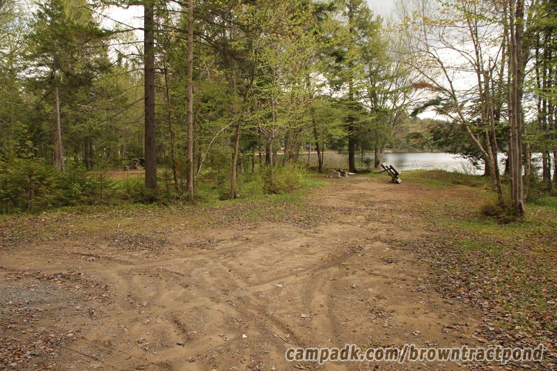 Campsite Photo of Site 43 at Brown Tract Pond Campground, New York - Looking at Site from Road