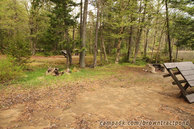 Campsite Photo of Site 43 at Brown Tract Pond Campground, New York - Cross Site View