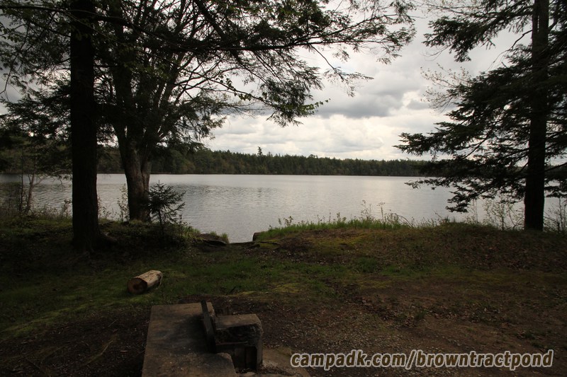 Campsite Photo of Site 43 at Brown Tract Pond Campground, New York - Fireplace View