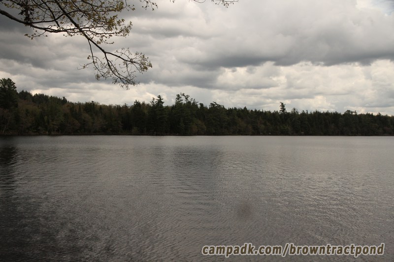 Campsite Photo of Site 43 at Brown Tract Pond Campground, New York - View from Shoreline