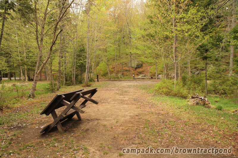 Campsite Photo of Site 43 at Brown Tract Pond Campground, New York - Looking Back Towards Road