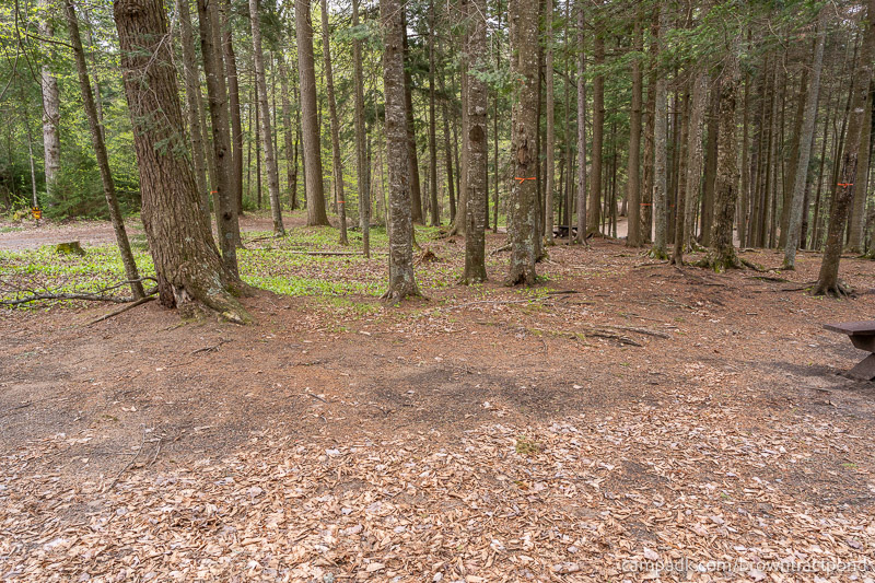 Campsite Photo of Site 12 at Brown Tract Pond Campground, New York - Cross Site View