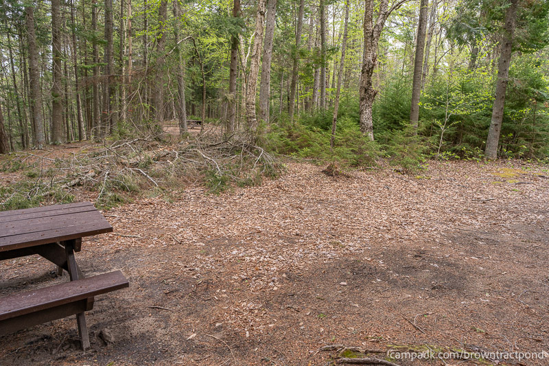 Campsite Photo of Site 12 at Brown Tract Pond Campground, New York - Cross Site View