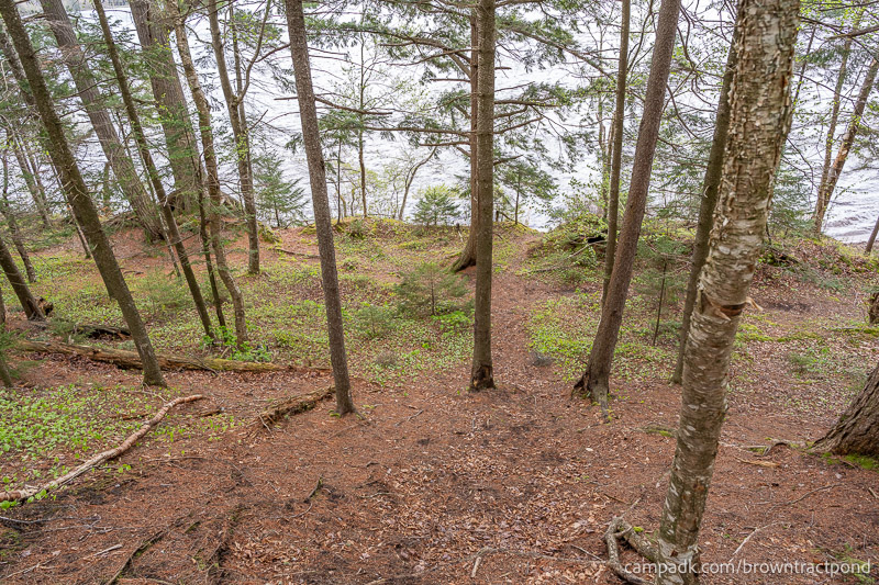 Campsite Photo of Site 12 at Brown Tract Pond Campground, New York - Pathway Down to Water