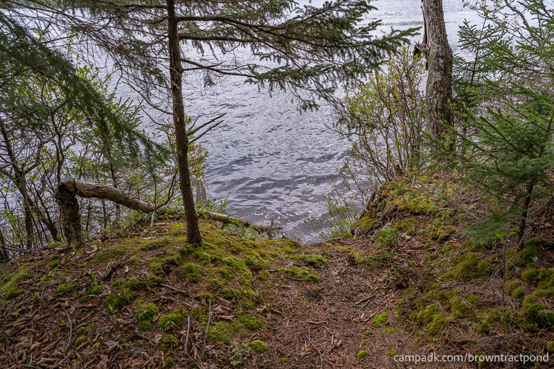 Campsite Photo of Site 12 at Brown Tract Pond Campground, New York - Shoreline