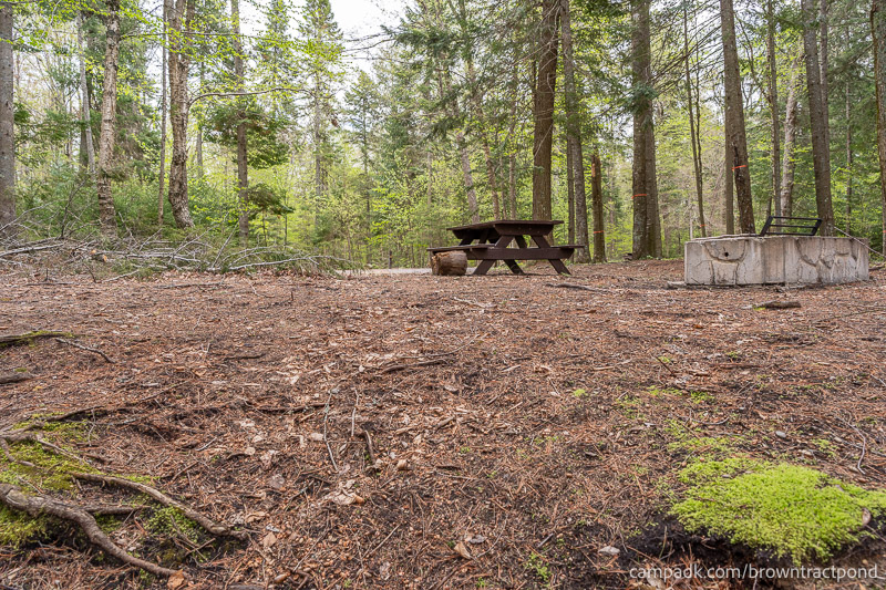 Campsite Photo of Site 12 at Brown Tract Pond Campground, New York - Returning Along Pathway from Water