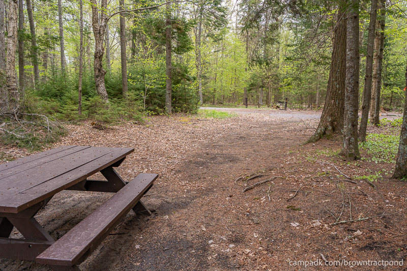 Campsite Photo of Site 12 at Brown Tract Pond Campground, New York - Looking Back Towards Road