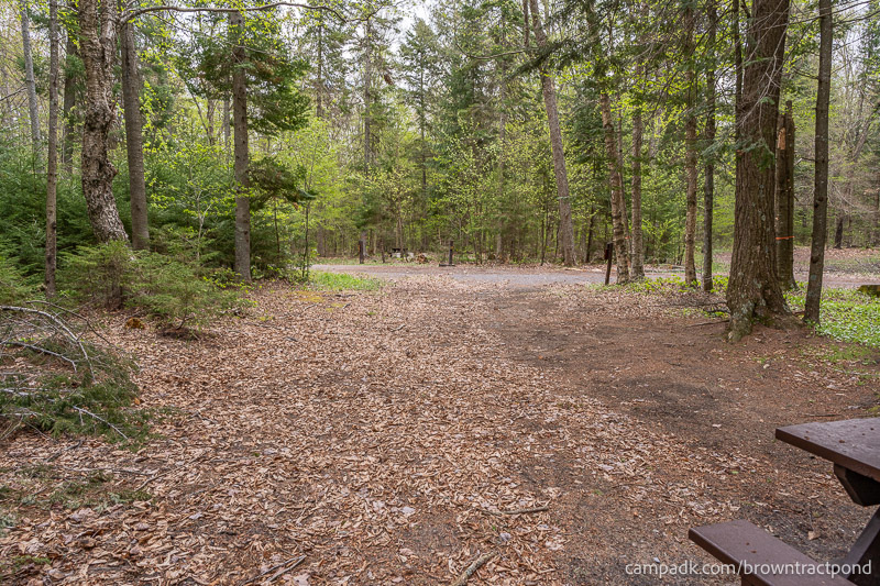 Campsite Photo of Site 12 at Brown Tract Pond Campground, New York - Looking Back Towards Road