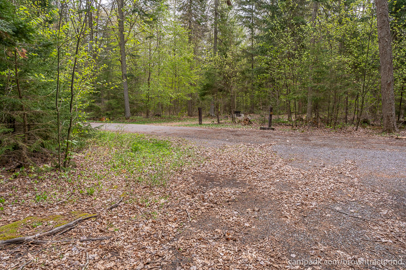 Campsite Photo of Site 12 at Brown Tract Pond Campground, New York - Looking Back Towards Road