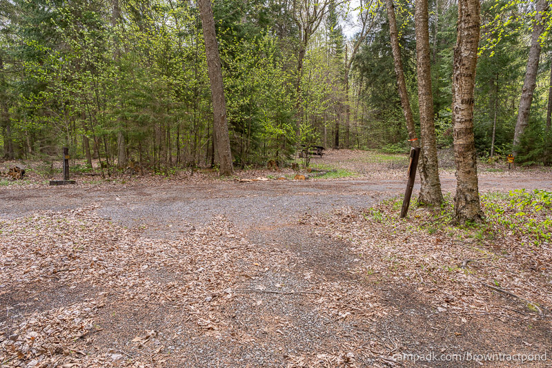 Campsite Photo of Site 12 at Brown Tract Pond Campground, New York - Looking Back Towards Road