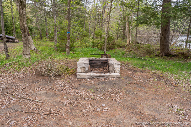 Campsite Photo of Site 43 at Brown Tract Pond Campground, New York - Fireplace View