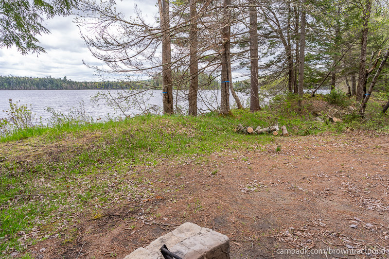 Campsite Photo of Site 43 at Brown Tract Pond Campground, New York - Cross Site View