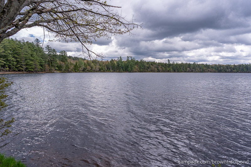 Campsite Photo of Site 43 at Brown Tract Pond Campground, New York - View from Shoreline