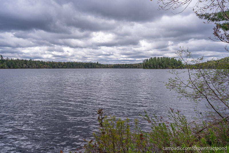 Campsite Photo of Site 43 at Brown Tract Pond Campground, New York - View from Shoreline