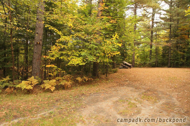 Campsite Photo of Site 7 at Buck Pond Campground, New York - Looking at Site from Road Sign Visible