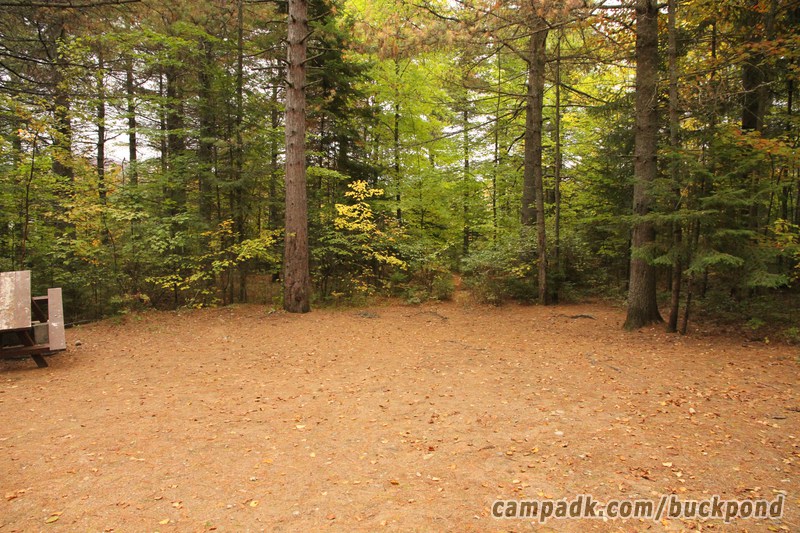 Campsite Photo of Site 7 at Buck Pond Campground, New York - Cross Site View