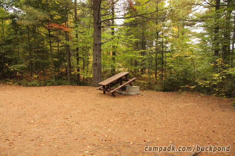 Campsite Photo of Site 7 at Buck Pond Campground, New York - Cross Site View