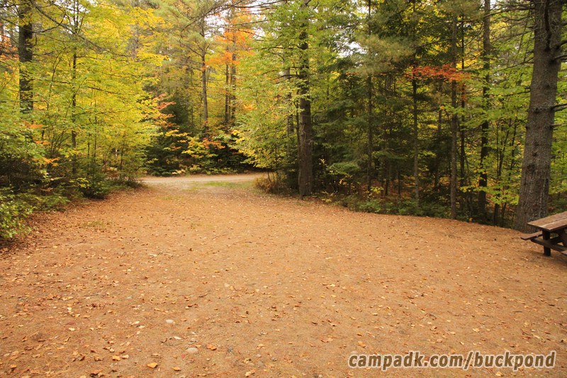 Campsite Photo of Site 7 at Buck Pond Campground, New York - Looking Back Towards Road