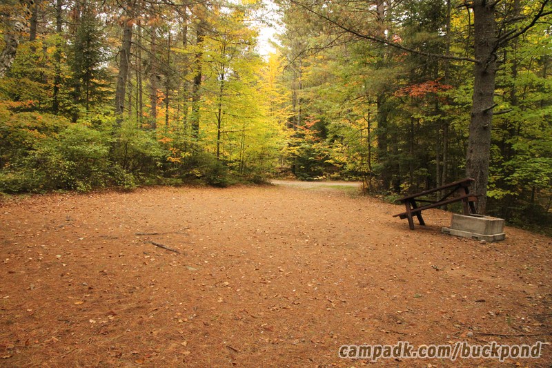 Campsite Photo of Site 7 at Buck Pond Campground, New York - Looking Back Towards Road