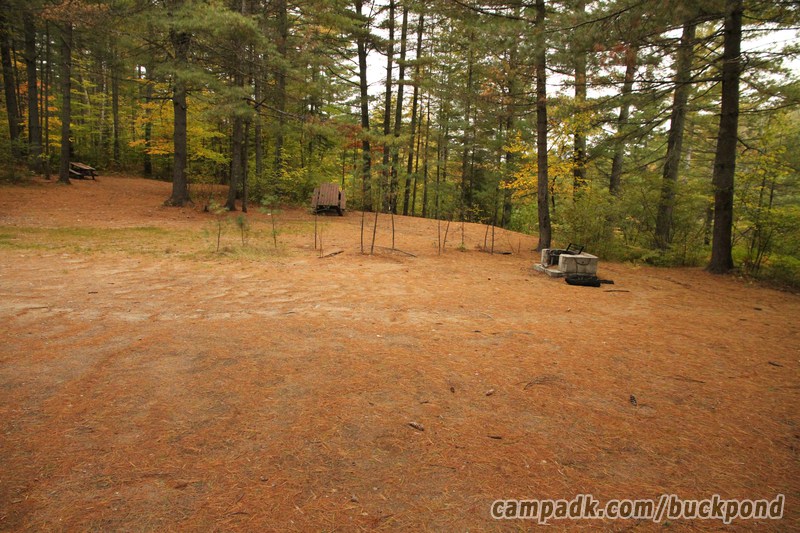 Campsite Photo of Site 19 at Buck Pond Campground, New York - Cross Site View