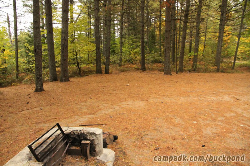 Campsite Photo of Site 19 at Buck Pond Campground, New York - Cross Site View