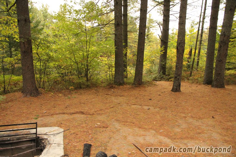 Campsite Photo of Site 19 at Buck Pond Campground, New York - Fireplace View