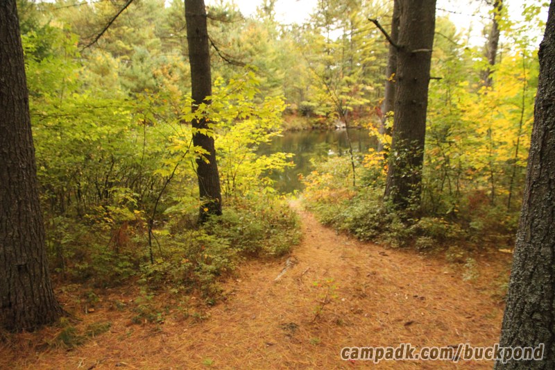 Campsite Photo of Site 19 at Buck Pond Campground, New York - Pathway Down to Water