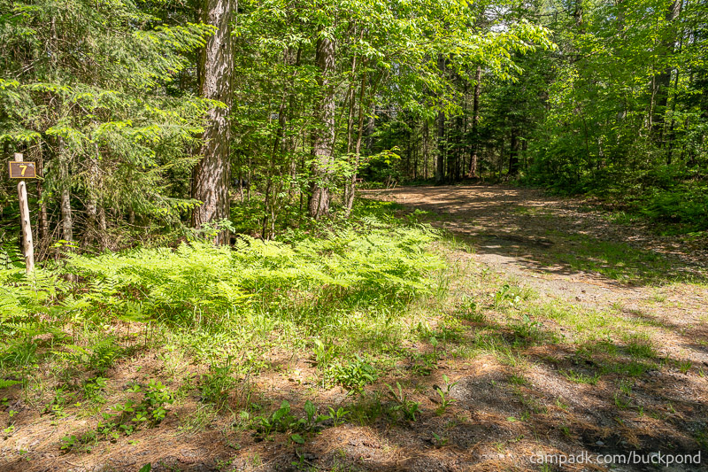 Campsite Photo of Site 7 at Buck Pond Campground, New York - Looking at Site from Road Sign Visible