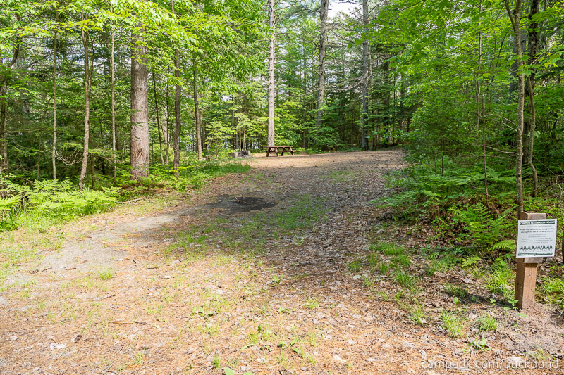 Campsite Photo of Site 7 at Buck Pond Campground, New York - Looking at Site from Road