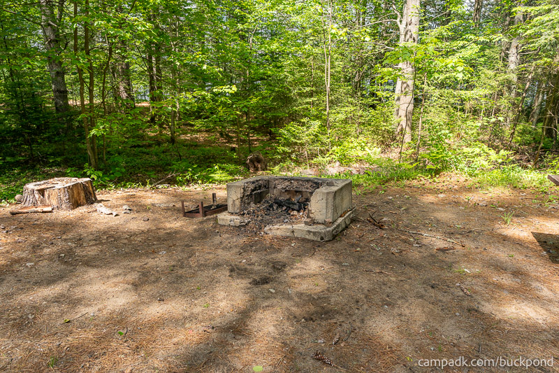 Campsite Photo of Site 7 at Buck Pond Campground, New York - Fireplace View