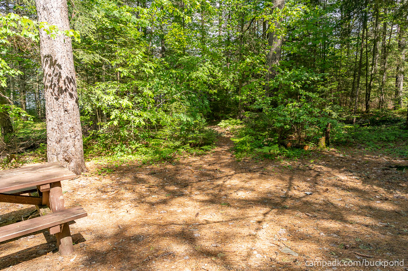 Campsite Photo of Site 7 at Buck Pond Campground, New York - Pathway Down to Water