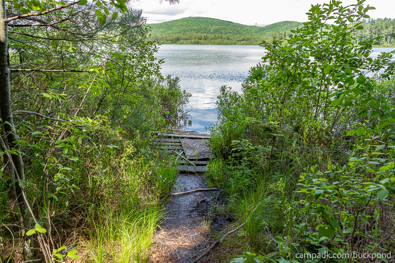 Campsite Photo of Site 7 at Buck Pond Campground, New York - Shoreline
