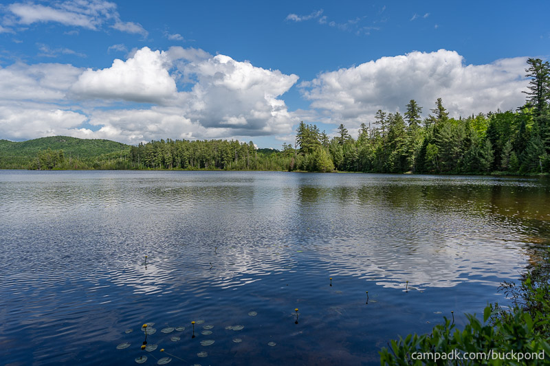 Campsite Photo of Site 7 at Buck Pond Campground, New York - View from Shoreline
