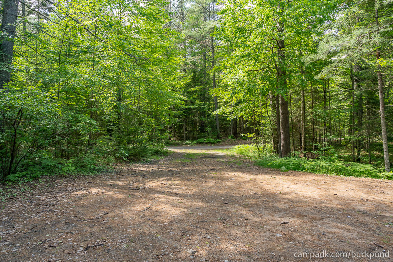 Campsite Photo of Site 7 at Buck Pond Campground, New York - Looking Back Towards Road